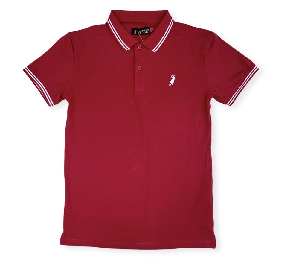 CHEMIS POLO UNICOLOR M/C 0026